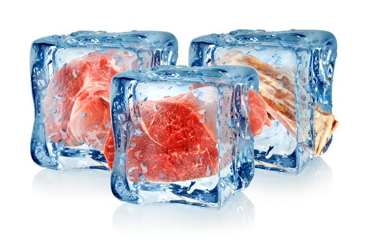 Refrigerados & Congelados