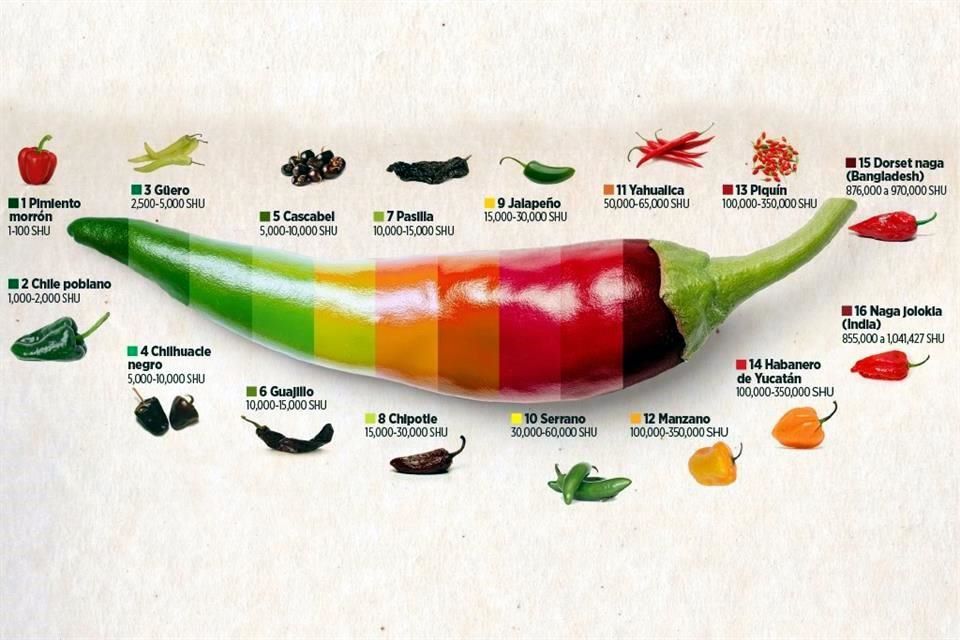 Chiles mexicanos. ¿Cuántos tipos hay?