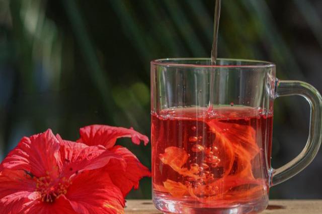 Infusión de flor de jamaica servida en una taza transparente, con una flor fresca como decoración, capturando su vibrante color rojo.